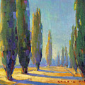 Cypress Road 6